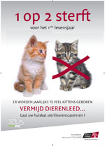 Klik hier om de affiche te bekijken